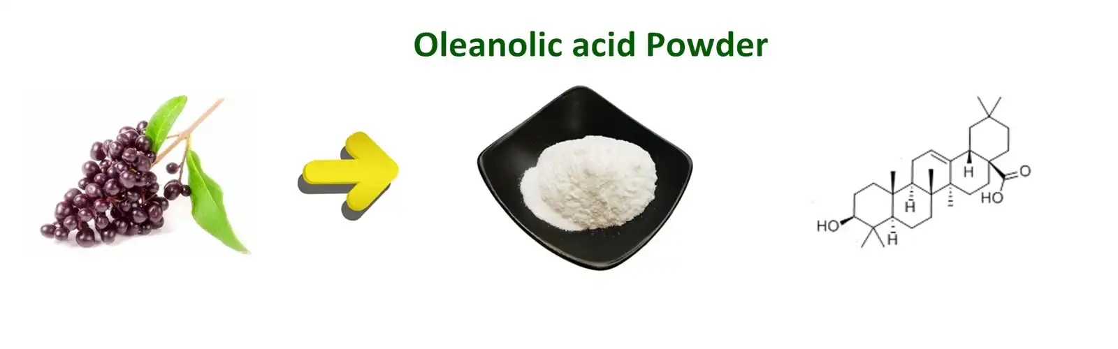 Oleanolic Acid 98% Oleanolic Acid 98%