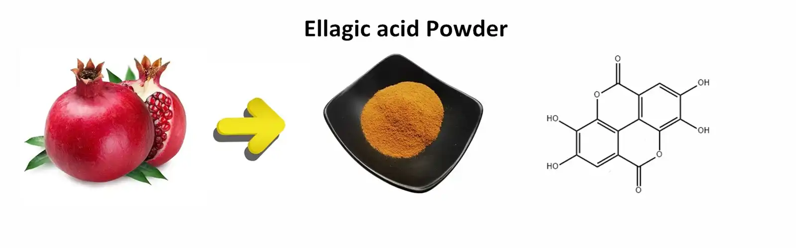 Ellagic Acid Powder Ellagic Acid Powder