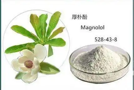 Magnolol Powder Magnolol Powder