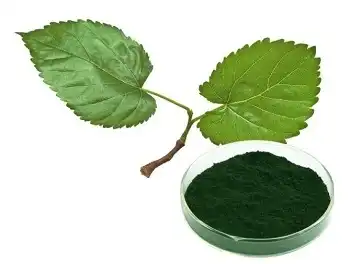 Chlorophyll A  powder Chlorophyll A  powder