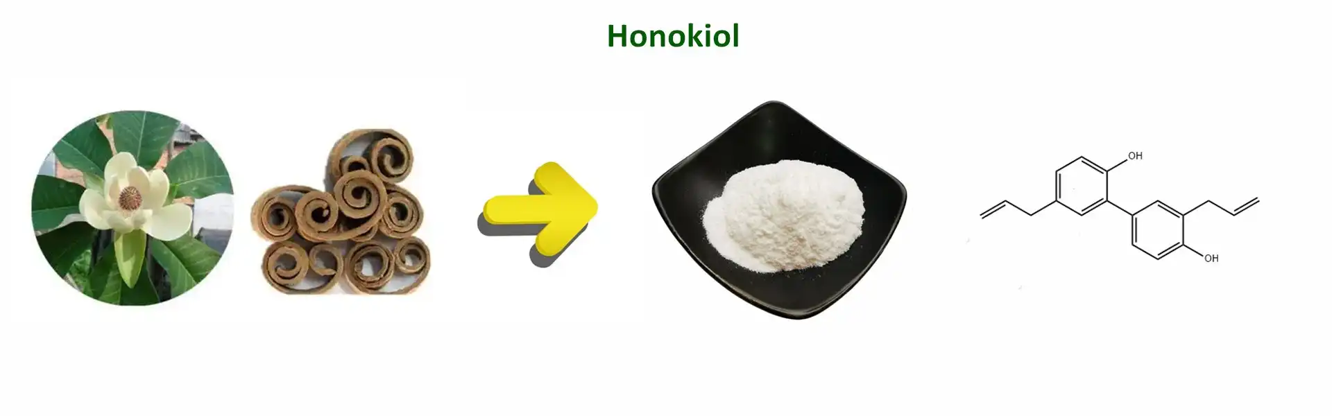 Honokiol Powder Honokiol Powder