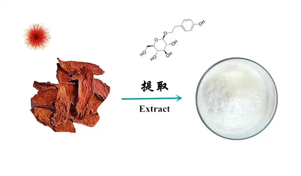 Salidroside Powder Salidroside Powder