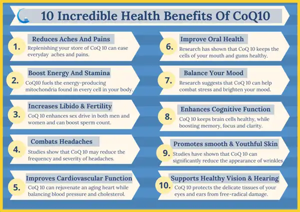 coenzyme Q10 Benefits coenzyme Q10 Benefits