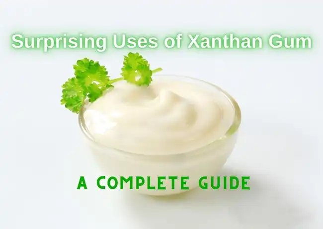 Xanthan Gum bulk Xanthan Gum bulk