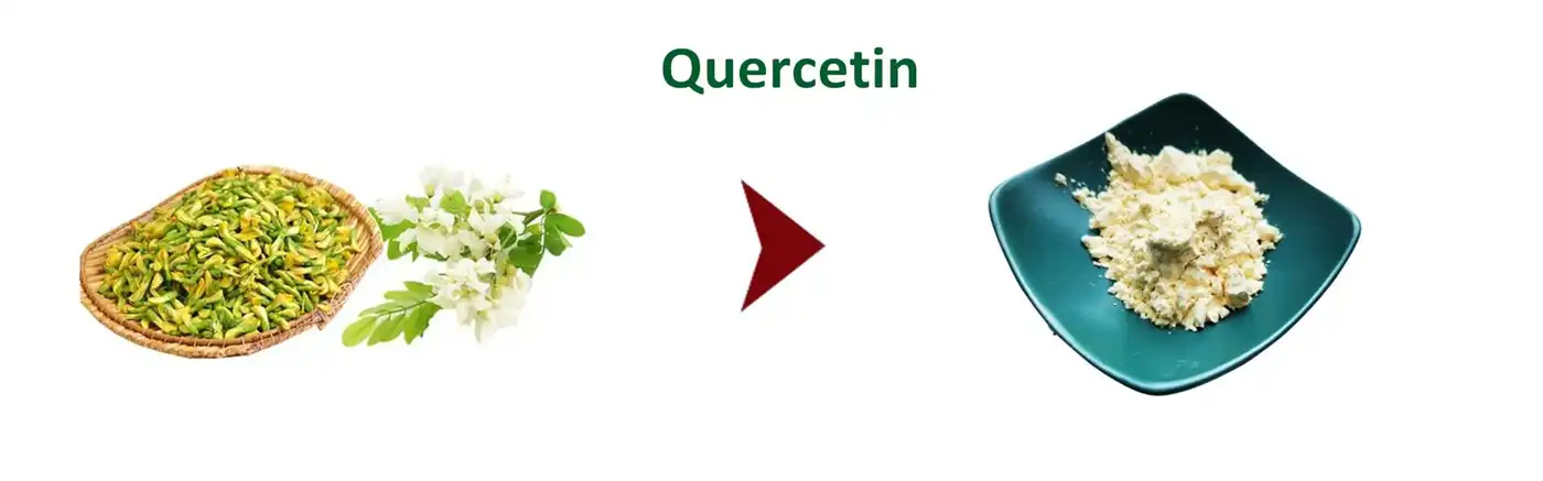 Quercetin powder Quercetin powder