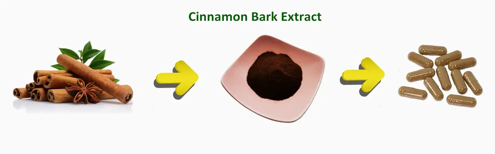 Cinnamon extract Cinnamon extract