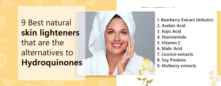 Hydroquinone Powder Hydroquinone Powder