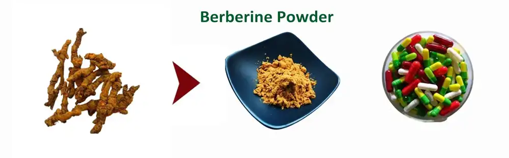 Berberine Powder Berberine Powder
