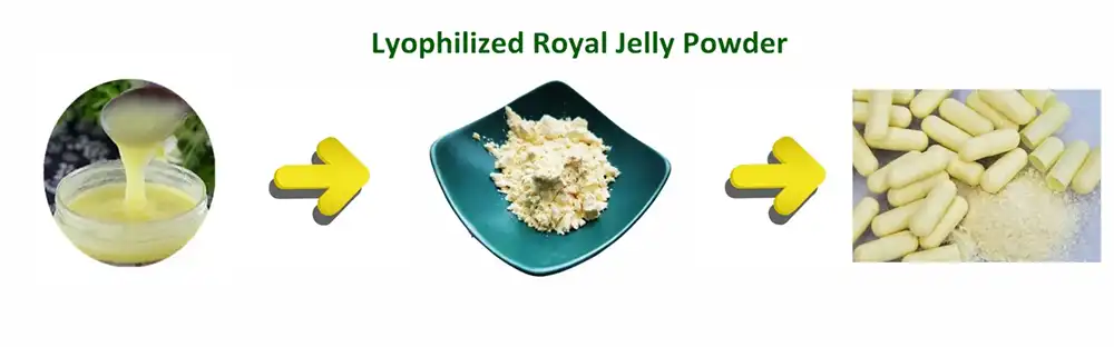 Lyophilized royal jelly powder Lyophilized royal jelly powder
