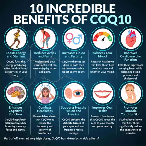 Coenzyme q10 powder Coenzyme q10 powder