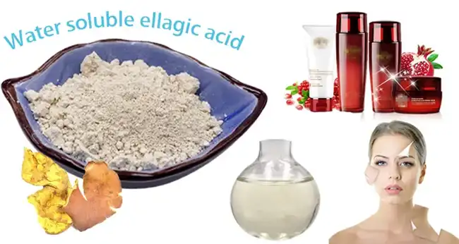 Ellagic Acid for skin Ellagic Acid for skin