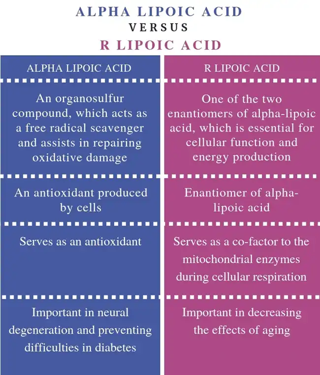 alpha-lipoic acid vs R Lipoic acid alpha-lipoic acid vs R Lipoic acid