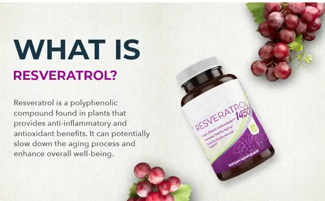 what is Resveratrol Powder what is Resveratrol Powder