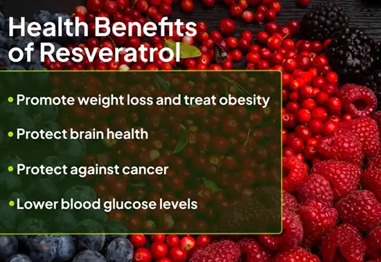 benefits of Resveratrol Powder benefits of Resveratrol Powder