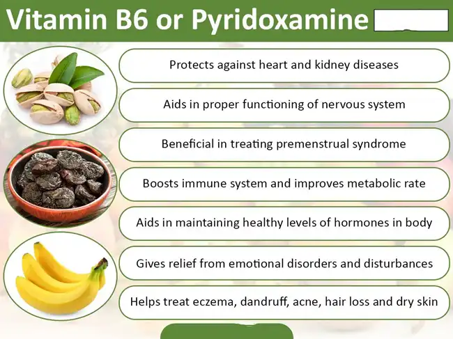 benefits of vitamin B6 benefits of vitamin B6