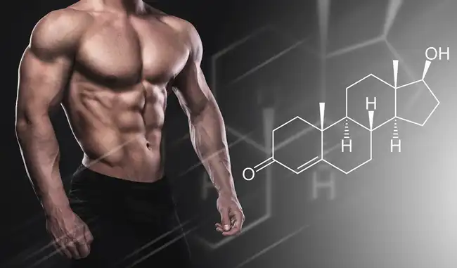 Turkesterone for muscle Turkesterone for muscle