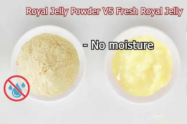 Lyophilized Royal Jelly Powder Lyophilized Royal Jelly Powder