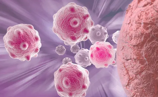 ellagic acid powder ellagic acid powder