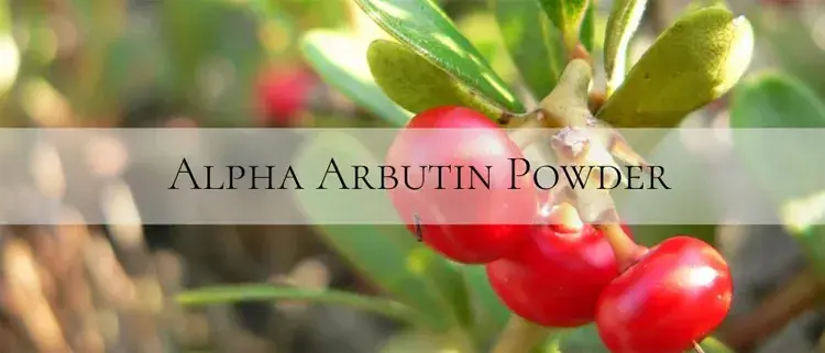 pure alpha arbutin pure alpha arbutin