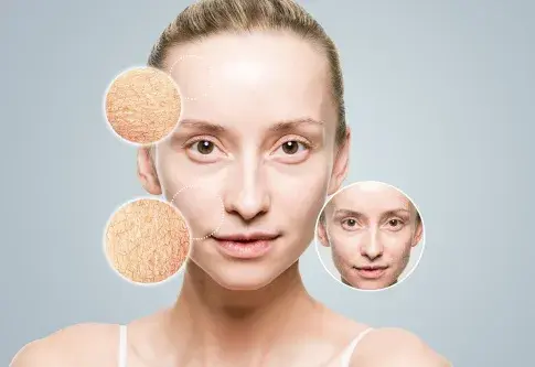 fucoidan powder