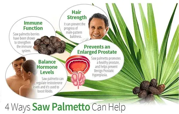 saw palmetto extract powder
