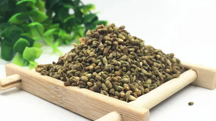 pure quercetin powder