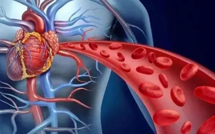 pure quercetin powder