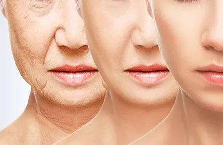 L carnosine powder bulk L carnosine powder bulk