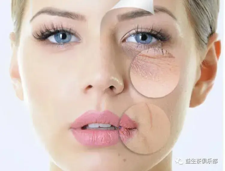 Pterostilbene powder