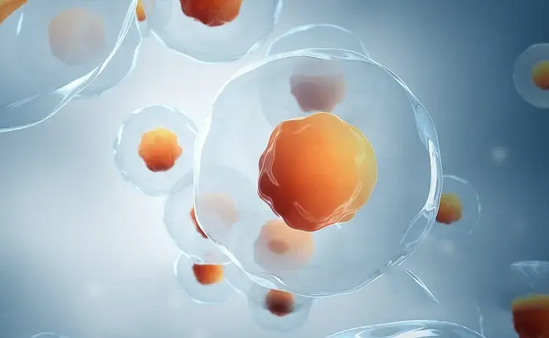 Tribulus terrestris extract powder