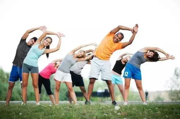 Rhodiola rosea extract powder Rhodiola rosea extract powder