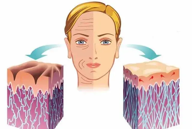 Pterostilbene powder