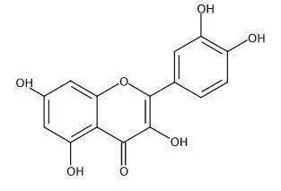 pure quercetin powder
