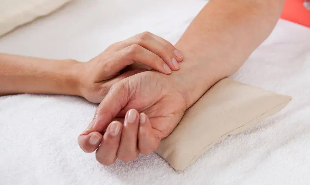 Saw palmetto extract powder