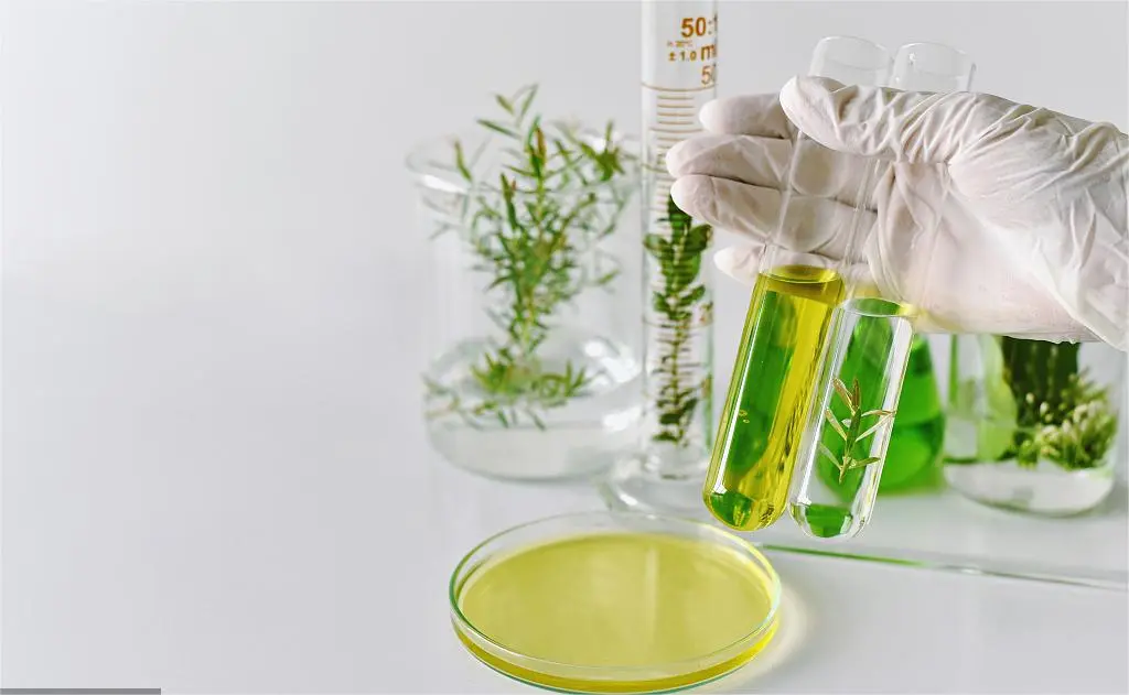 Research And Development Research And Development