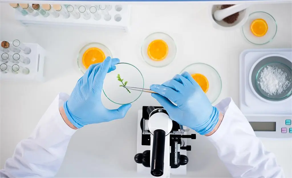 Experimental Operation