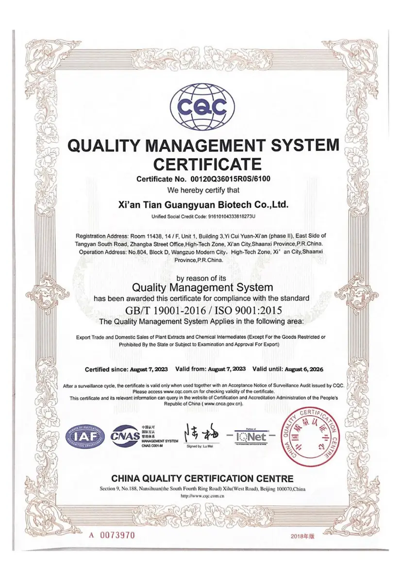 ISO9001