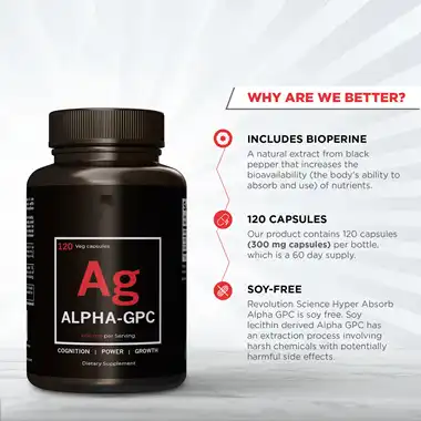Hvad er det bedste Alpha-Gpc-supplement?