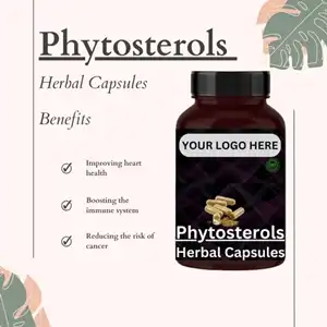 Reducerer phytosteroler testosteron?