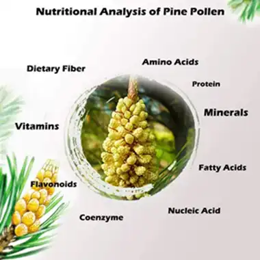 Hvad er Pine Pollen Powder godt til?