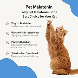 Kan du give en kat melatonin?