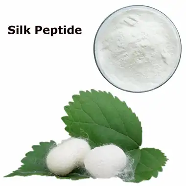 Silkepeptidpulver: fordele, anvendelser og hudplejetips