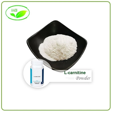 polvere pura di l-carnitina