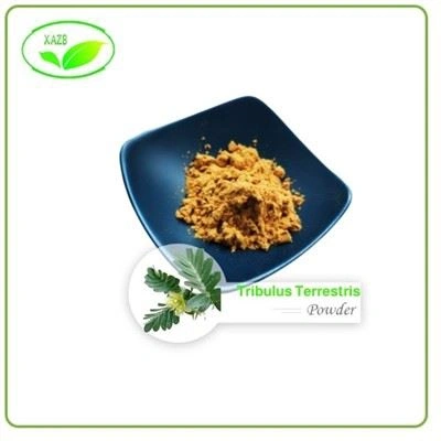 Pó de Extrato de Tribulus Terrestris