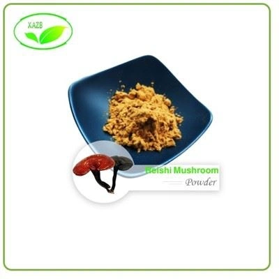 Reishi Mushroom tangohanga paura
