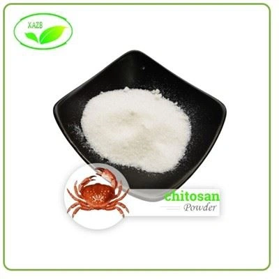 Púdar Chitosan intuaslagtha in Uisce Púdar Chitosan intuaslagtha in Uisce