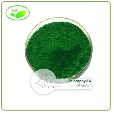 Chlorophyll A Paura