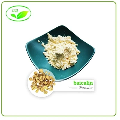 Polvere di baicalina Polvere di baicalina