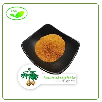 Panax notoginseng en poudre